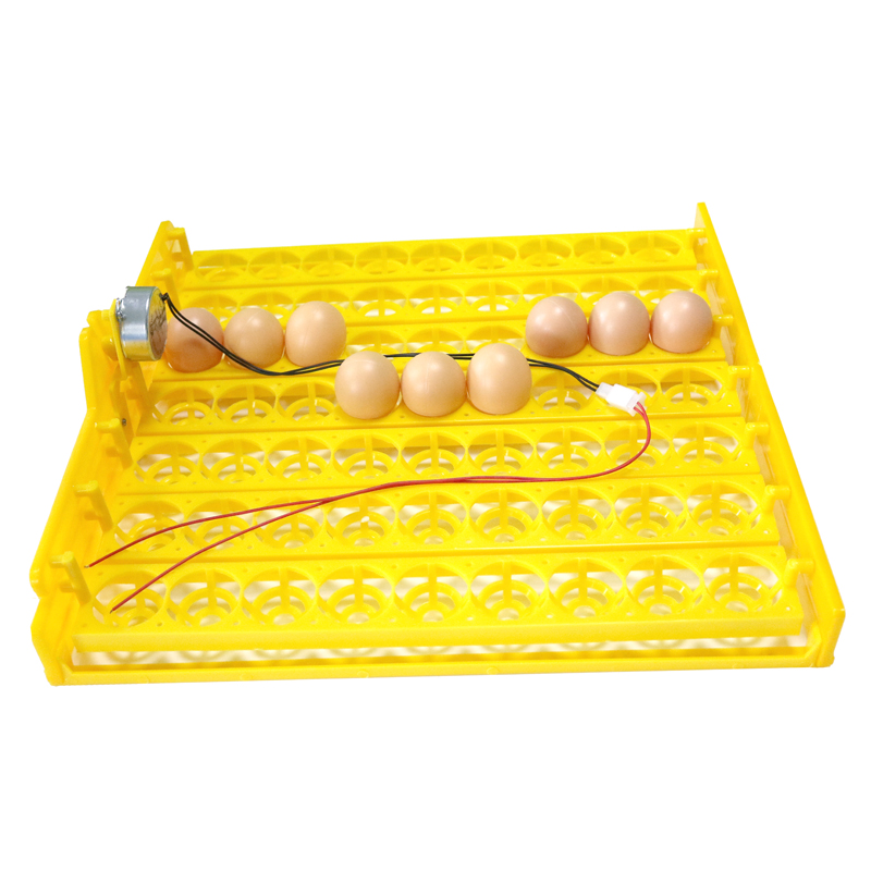 ARMADO CANASTILLA 63 HUEVOS PARA INCUBADORA.