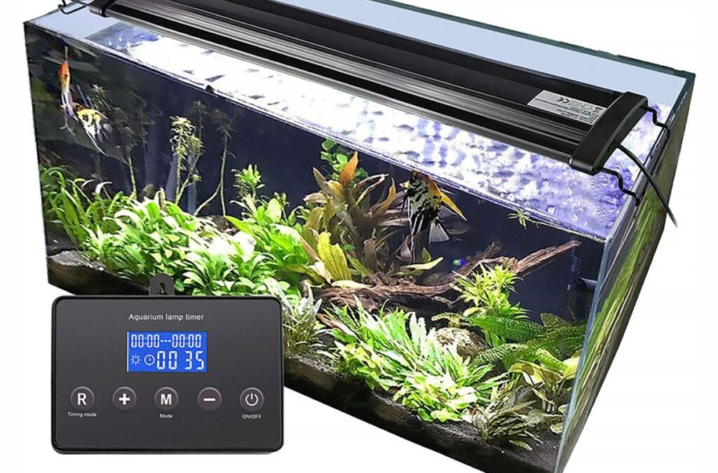 Temporizador LED Acuario